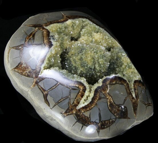 Crystal Filled Septarian Geode - Utah #33095